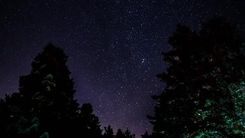 Stars Night
