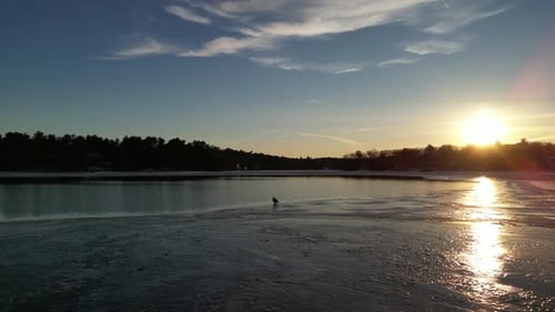 Frozen Lake at Sunrise with Eagle Perched