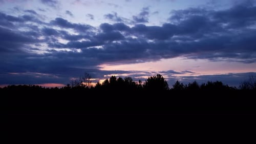 Forest At Sunset Background Movement To The Left