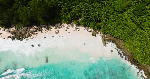 Overhead View of Lush Tropical Beach with Turquoise Waters Seychelles Mahe