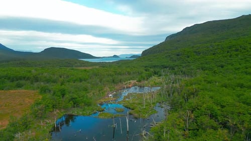 Aerial View of Andes Mountain Forest with a Lake and Fjords in the Background in Tierra Del Fuego