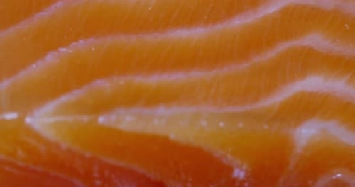 slice of fresh salmon in extreme macro close up. conceto of omega 3 and vitamins taken from the fi