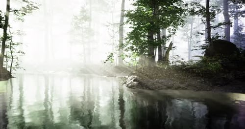 Sunlight Filters Through Trees Reflecting on a Calm River in the Forest
