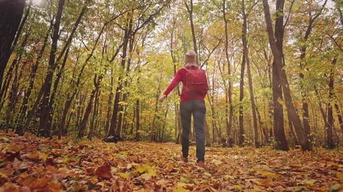 Beautiful Autumn Forest Landscape A Young Woman Joyfully Runs on a Carpet of Bright Yellow Leaves
