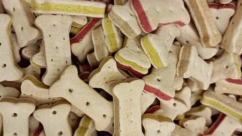 Dog Biscuits