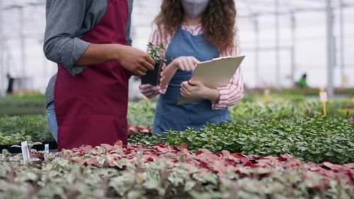 Colleagues Working in Garden Centre, Looking at Camera