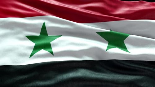 Syrian Flag Waving Seamless Loop Background