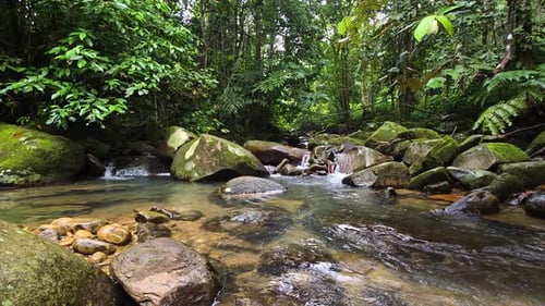 Rocky Stream in Tropical Forest