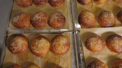 Closeup of Freshly Baked Burger Buns with Sesame Seeds in the Restaurant Kitchen