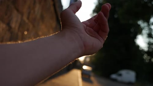 Amazing Shot of Hand Arc Movement Touching Sunlight and Sun Rays in the Morning
