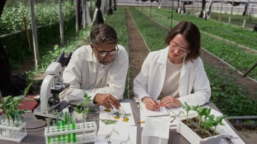Scientists Analyzing Plants in Greenhouse