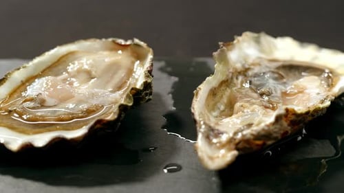 Fresh Raw Oysters with Ice French Restaurant Mediterranean Healthy Sea Food Gourment Luxury Cuisine