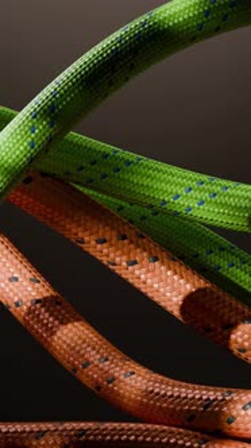 Colorful Climbing Ropes Intertwining Abstract Animation