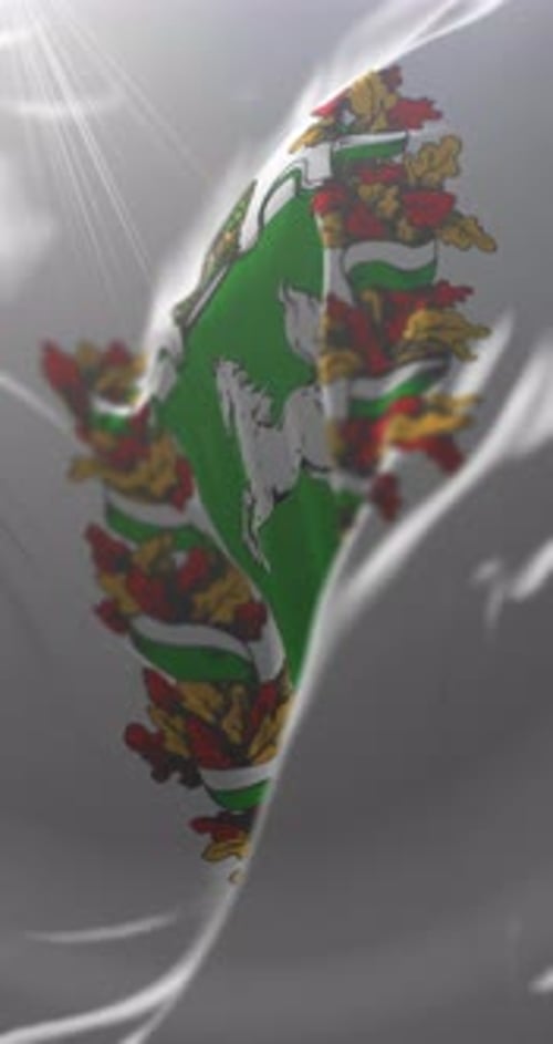 Vertical Waving Flag with Stylized Emblem and Light Rays