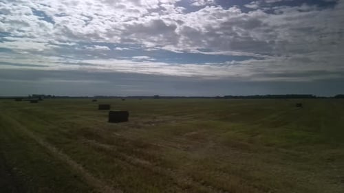Gelbes Feld mit geernteten Weizen- und Heuballen. Luftaufnahme des Feldes mit Quaderballen