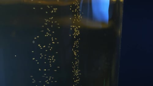 Golden Bubbles Rising Through Glass of Beer