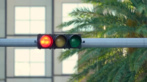 Semáforo vermelho que regula o tráfego de rua americano em Miami, Flórida, EUA | Transporte