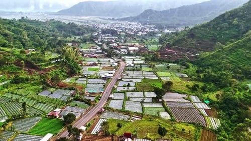 Verdant Farmland and Village from Above in Rural Setting