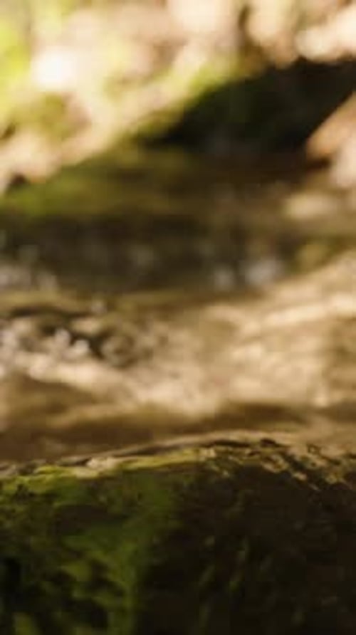 Vertikales Video. Nahaufnahme eines kleinen Baches mit tosendem Wasser, das aus der Dunkelheit ins Sonnenlicht austritt
.