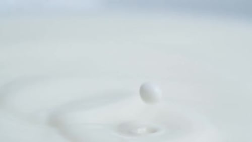 Milk Drops 23