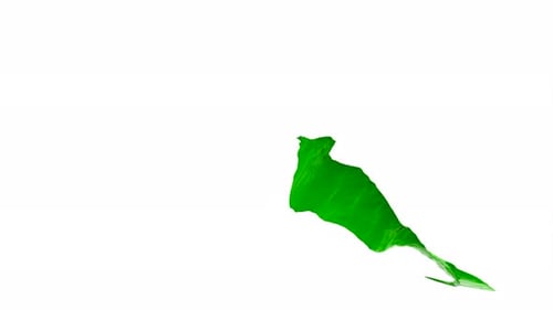 Green Fluid Paint Splash Abstract Transition