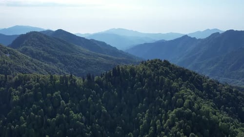 Vista aérea de montañas cubiertas de árboles