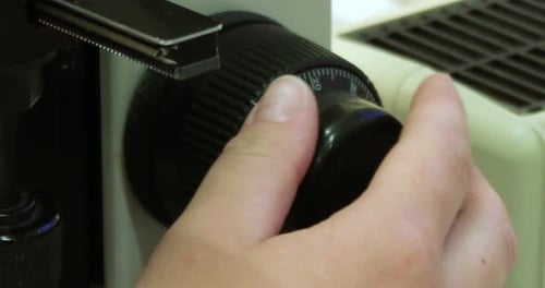 Scientist focusing a microscope in the laboratory