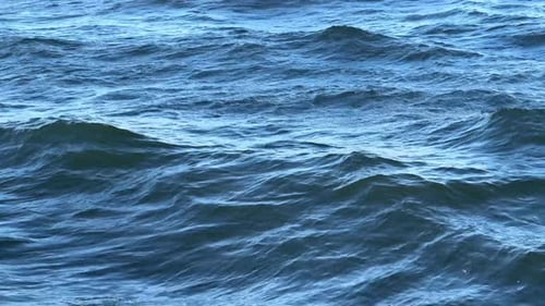 Close-up of deep blue ocean waves under natural light, gentle movements and ripples