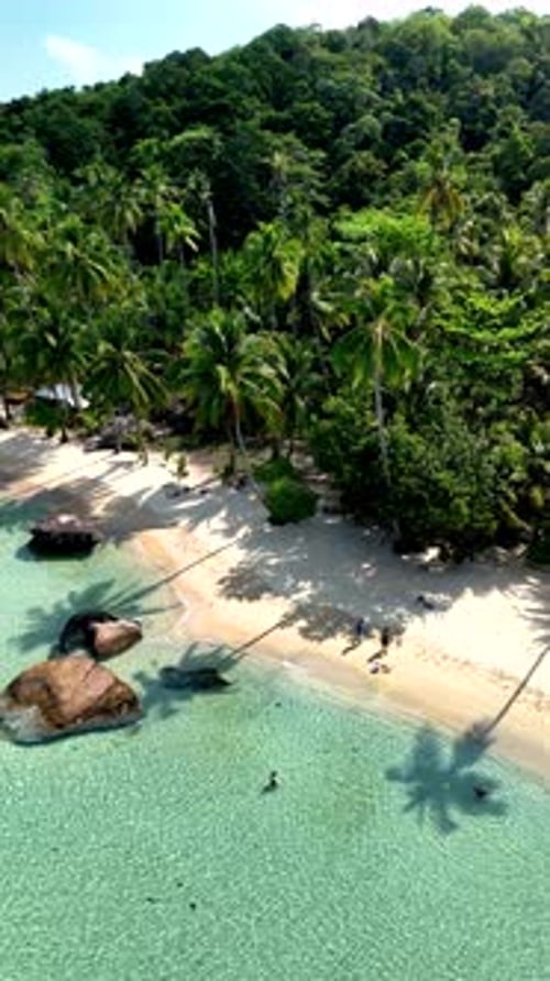 Breathtaking View of Koh Kood Islands Pristine Beaches and Lush Palm Trees in Thailand