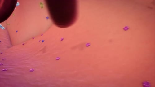 Close-up view of blood cells flowing through a vessel