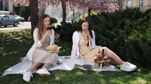 Drinking Wine Women Wine Ladies Wine