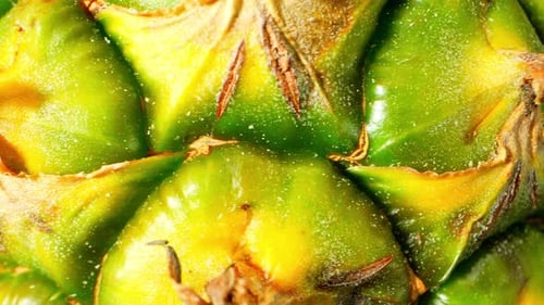A pineapple skin through a mesmerizing macro video captured with a probe lens.