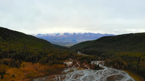 Braided River Flowing Through Autumn Forest Valley Media