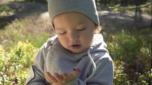 Happy Little Boy Picking Blueberry in the Forest on Summer Day