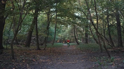 Guardian of Adventure Boy with Protective Helmet Enjoys a Bike Ride in the Park