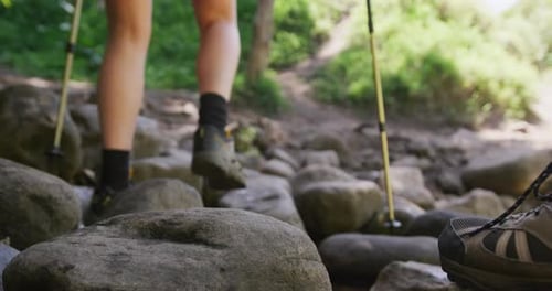 Low section of diverse couple hiking with hiking sticks in park, slow motion