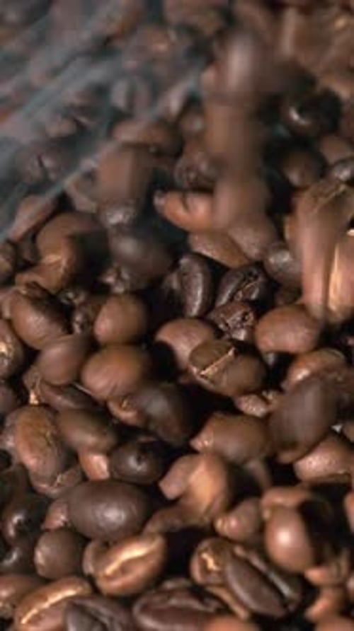 Vertical slow motion of roasted coffee beans falling. Organic coffee seeds.