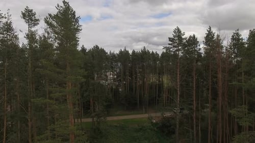 Panoramic View From Pine Forest to Meadow Valley Behind