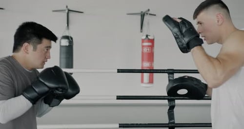 Man Boxing With Trainer Indoors at Daytime