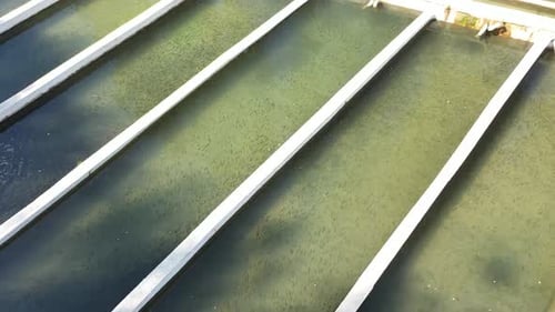 Aerial View Of Fish Ponds