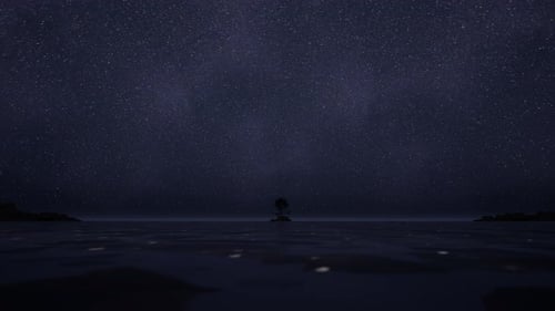 Amazing Starry Sky Over Sea At Night