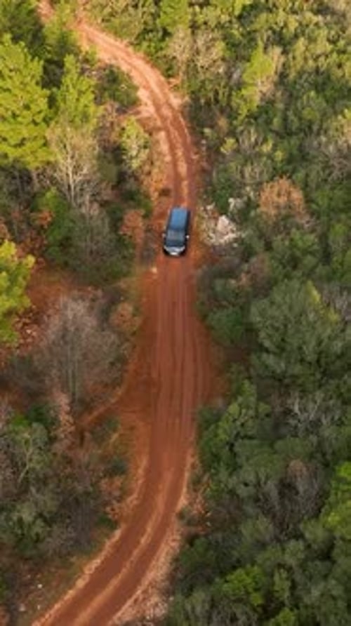 Vertical Video Mystical Forest Wonder Aerial View of Green Wilderness Cinematic Drone Footage