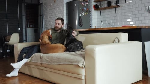 Man Relaxing on Sofa with Two Dogs