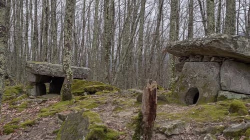 Vue de deux anciens dolmens dans la forêt.