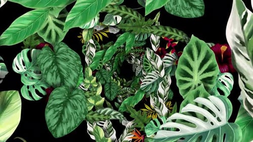 Tropische Blumen 01