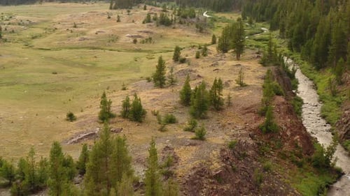 Aerial View Flying In Mountain Valley With River Stream, Pine Trees and Field
