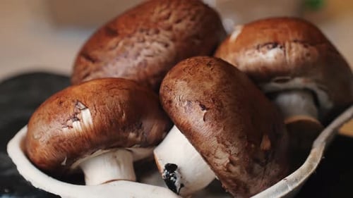 Fresh Champignon Mushrooms Big Portobello Macro Side View Background Chef Man Hold Supermarket Food