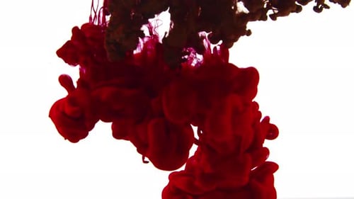 Abstract Red and Brown Ink Swirl on White