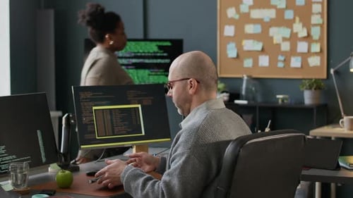 Diverse Programmers Working in Modern Office at Daytime