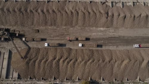 Aerial View of Potatoes and Trucks on Farm